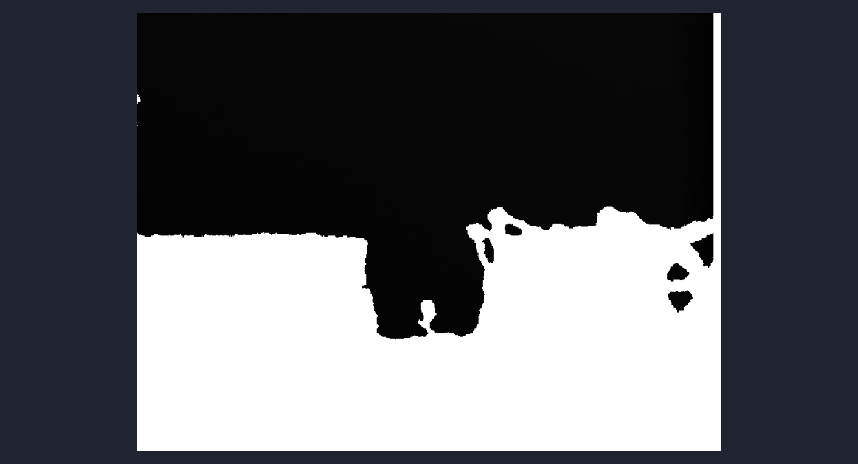 Depth Image